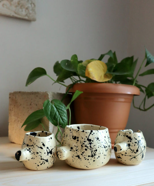 A SLOW MORNING SET – BLACK SPLASH EDITION